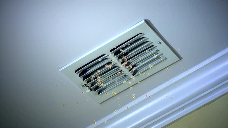 Best Ventilation Cleaning Services  in Sycamore, IL