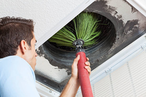 Best Professional Duct Cleaning Services  in Sycamore, IL