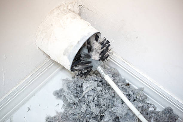 Best Air Duct Inspection  in Sycamore, IL
